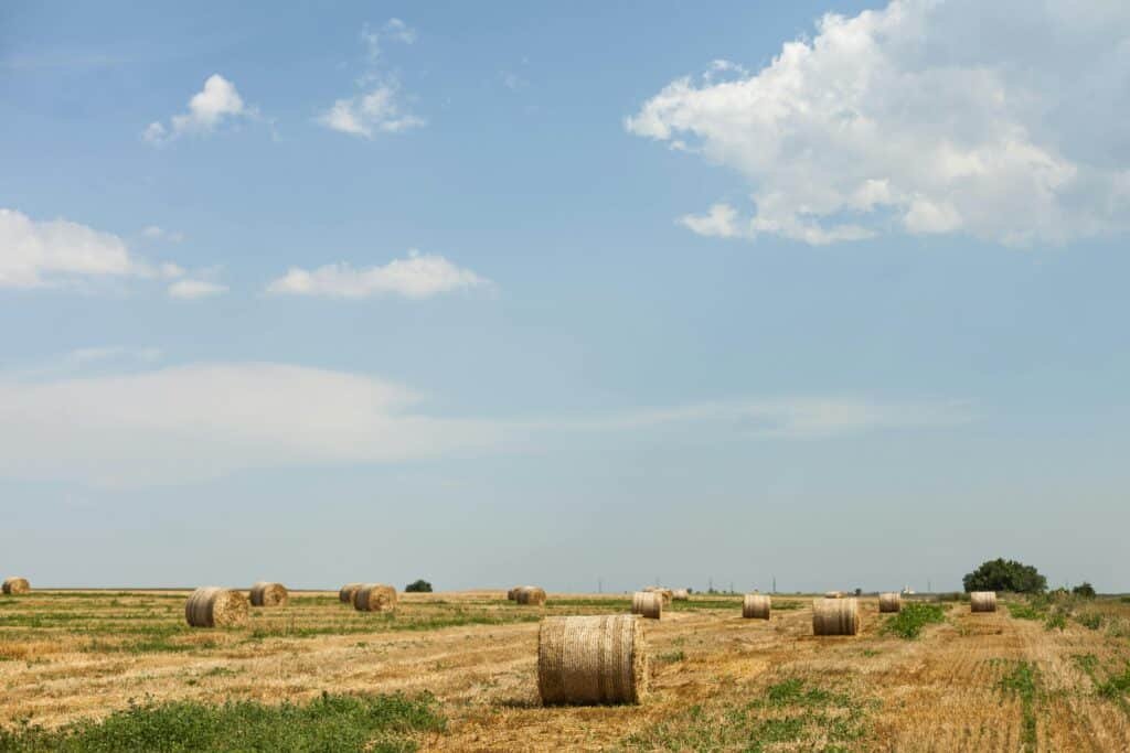 Picturesque Romanian countryside with hay bales under a clear blue sky, ideal for agricultural themes.