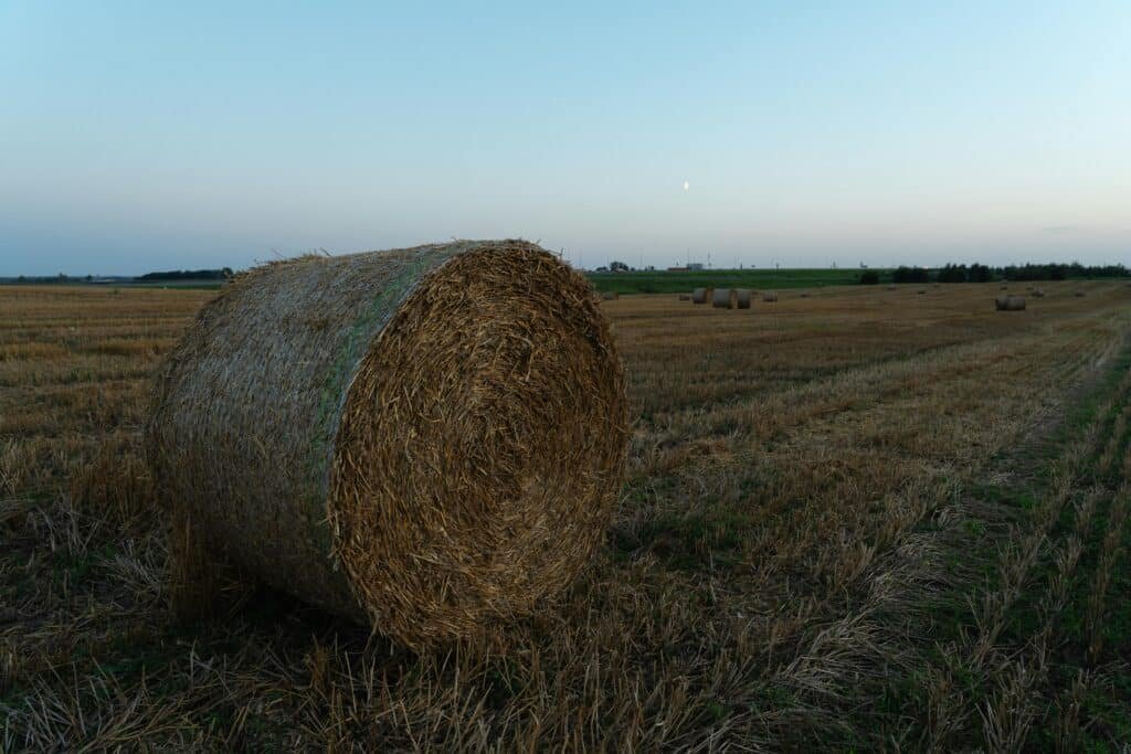 Serene landscape of a field with a hay bale at dusk in the countryside of Minsk, Belarus.