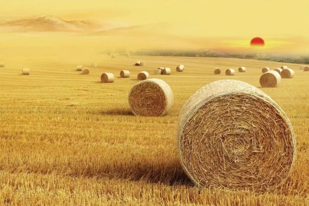 image xesbalenetcom Net wrap for hay sellers